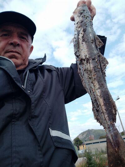  Namsos,   , 58 ,   ,   , c 