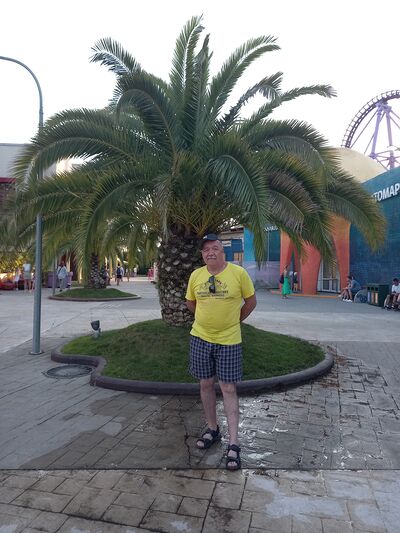  ,   , 62 ,   
