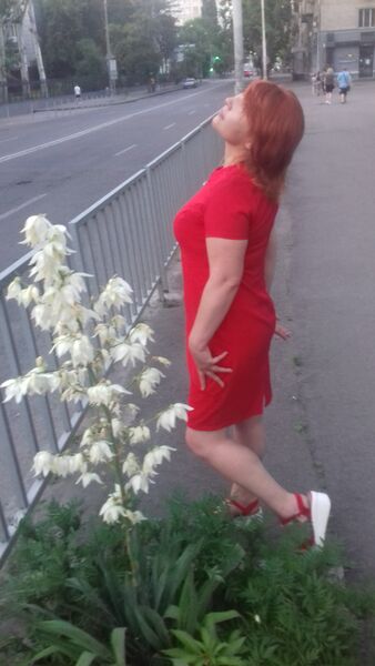  ,   , 49 ,     , c 