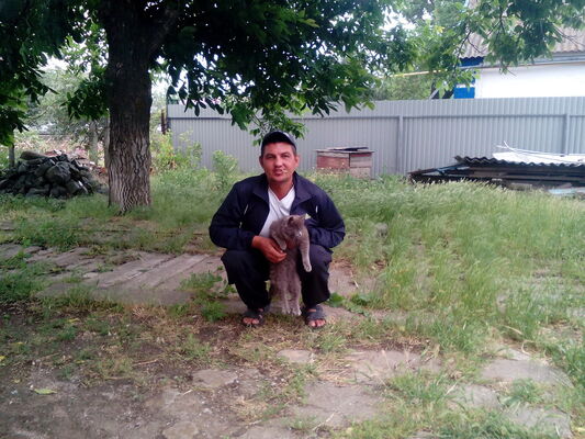  ,   , 41 ,   ,   , c 