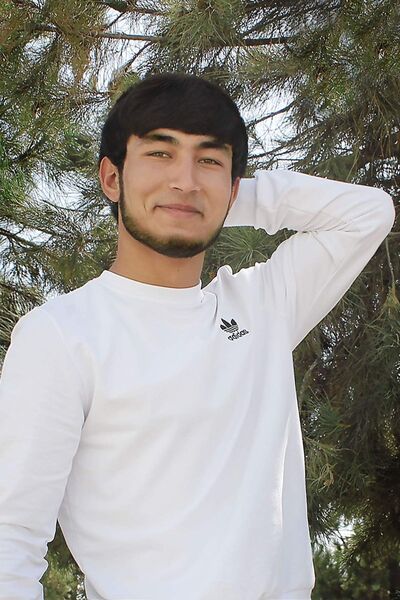  ,   , 28 ,     , c , 