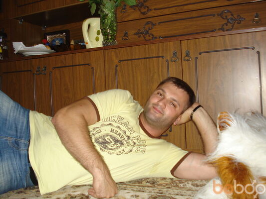  ,   Mirceania, 43 ,   
