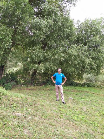  ,   Elman, 41 ,   ,   , c 