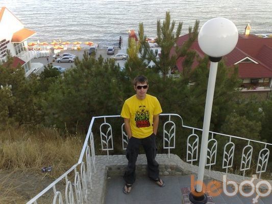  -,   Gans, 40 ,   