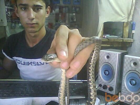  ,   Qobilbek, 33 ,   ,   , c 