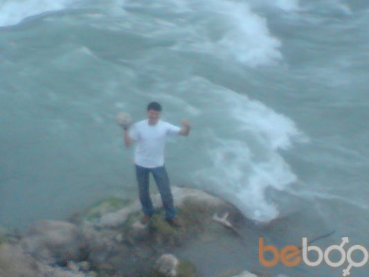  ,   Tolik, 80 ,   ,   , c , 