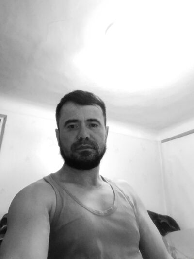  --,   , 38 ,   ,   