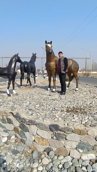 ,   Mansur, 36 ,   ,   