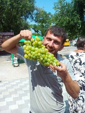  ,   Anar, 40 ,   ,   , c 