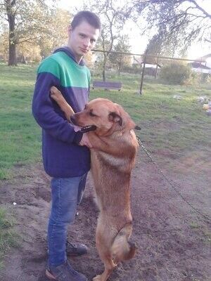  18547017  Janis, 27 ,    