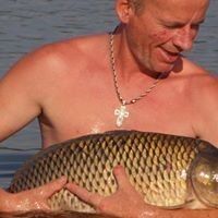  ,   , 55 ,   