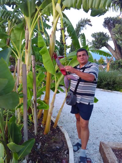  ,   , 52 ,   ,   