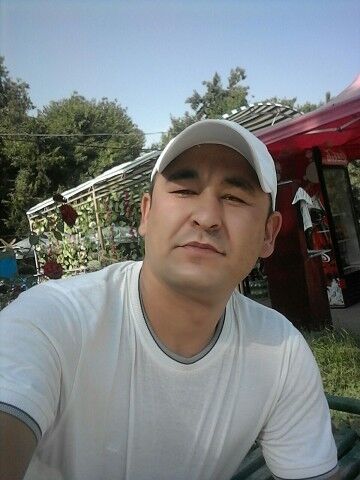  ,   , 43 ,   