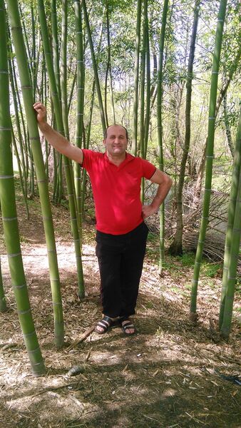  ,   Ilia, 58 ,   ,   , c 
