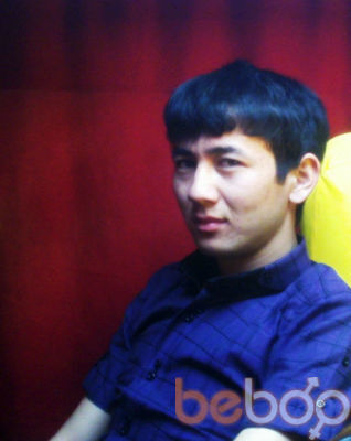  ,   Nur, 33 ,   