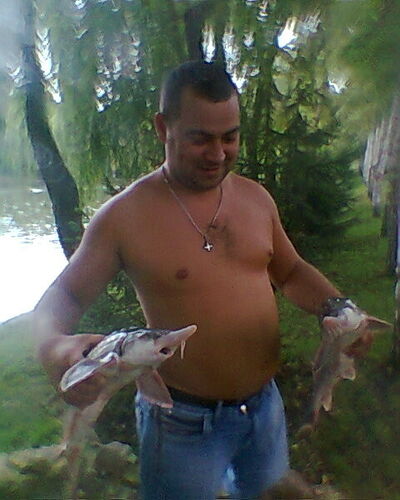  ,   , 44 ,   