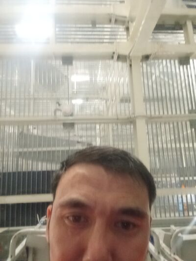  ,   , 33 ,   ,   , 