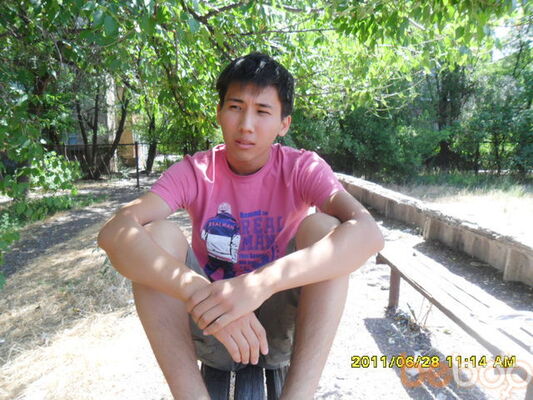  -,   , 33 ,   