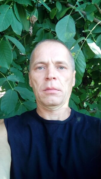  --,   , 54 ,   