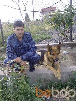  ,   , 43 ,     , c , 