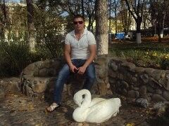  5580667  FIL, 42 ,    