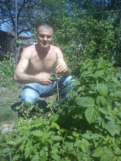  ,   , 54 ,   
