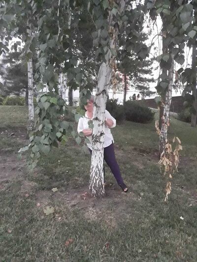  --,   , 52 ,   , 