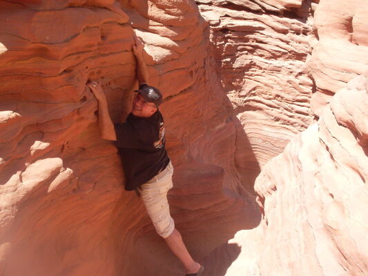  ,   Martin, 49 ,     , c 