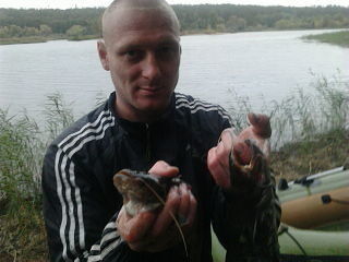 ���������� ��������, ���� ������� ����, 44 ����, ������������ ��� ������, ����� � ���������, c�������� ���������