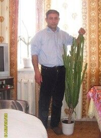  ,   , 61 ,   ,   , c 