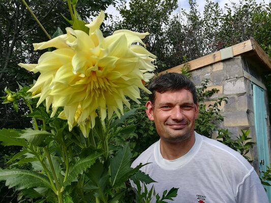   ,   , 44 ,   ,   , c , 