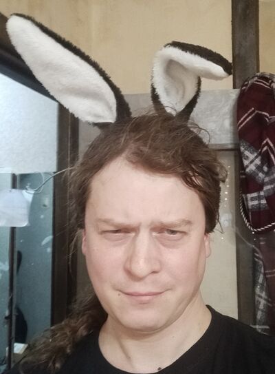  ,   , 41 ,   ,   