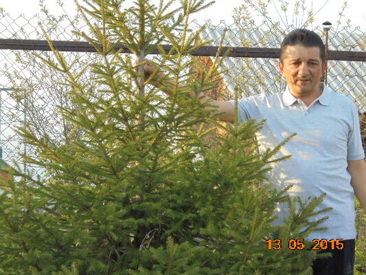  ,   , 66 ,     , c 