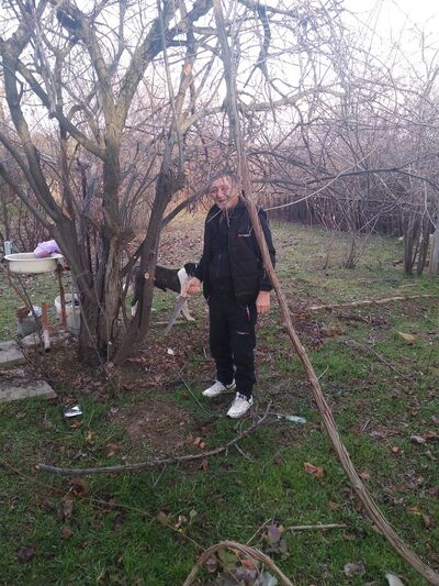  ,   , 73 ,   ,   , c 