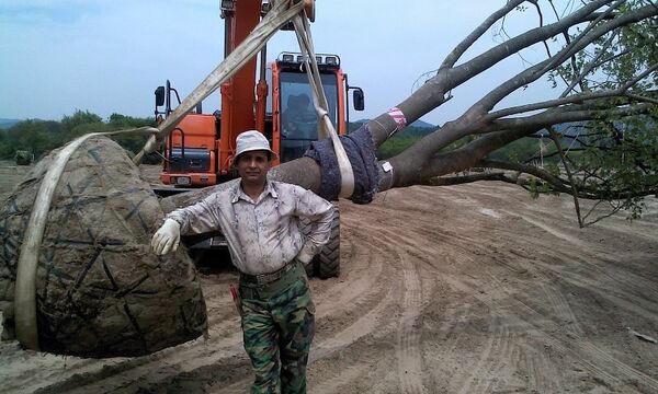  ,   Alik, 58 ,   , 