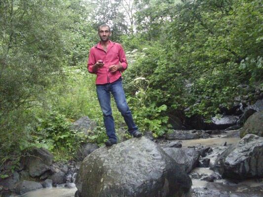  ,   AVETIQ, 40 ,   ,   , c 