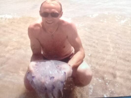  ,   Bogdan, 55 ,     , c 