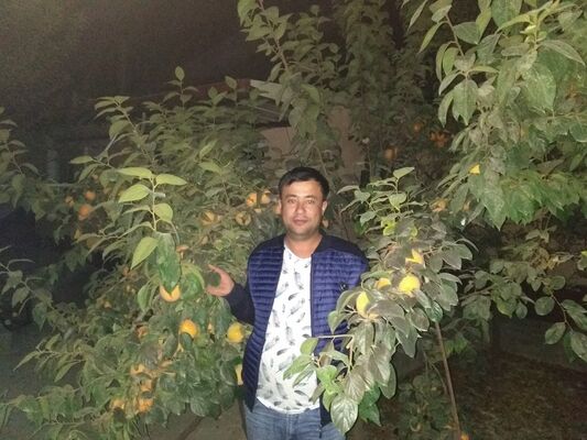  ,   Umrbek, 42 ,   ,   , c 