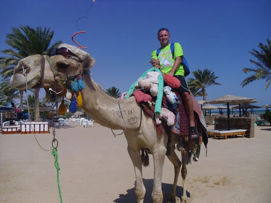  ,   , 49 ,   ,   , c 