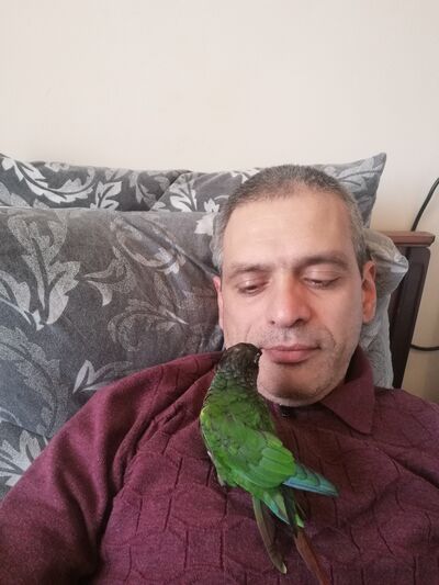 ,   , 49 ,   ,   