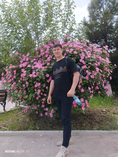  ,   , 29 ,     , c , 
