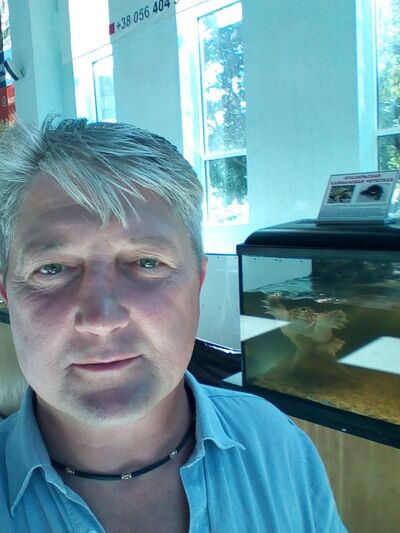   ,   , 51 ,   c , 