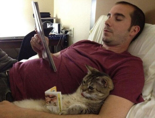  ,   Dmitry, 36 ,   
