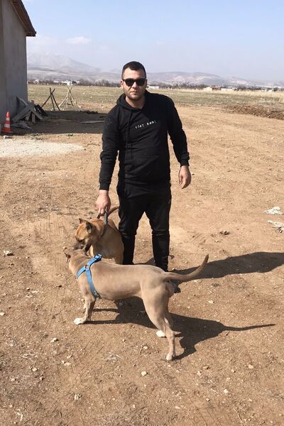  Cakmak,   Alper, 40 ,   ,   