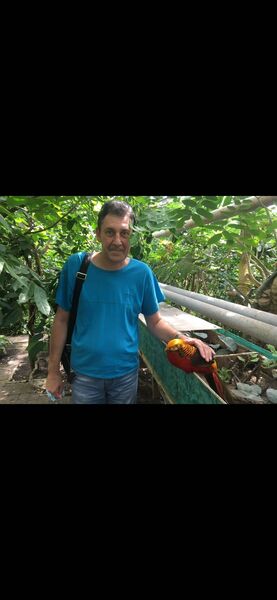  ,   , 55 ,   c 