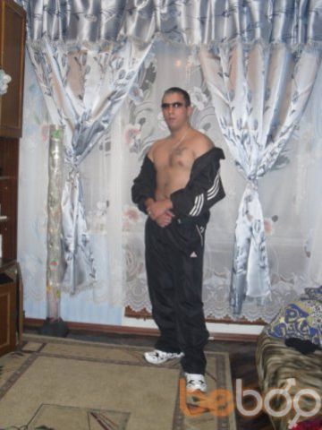  -,   Kotik, 34 ,   ,   , c 