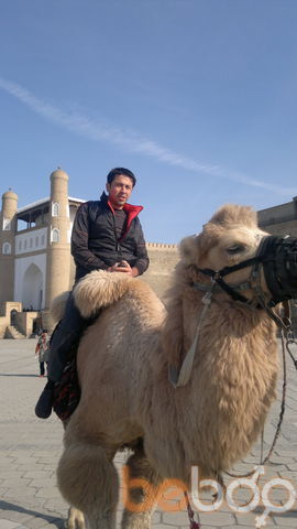  ,   Timur, 44 ,   
