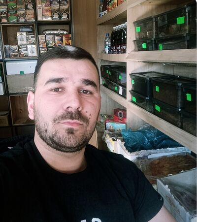  -,   Elnur, 28 ,   ,   