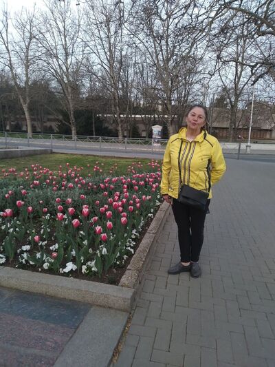  ,   , 66 ,   