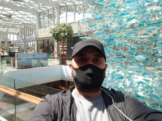  ,   Wolf, 34 ,   ,   